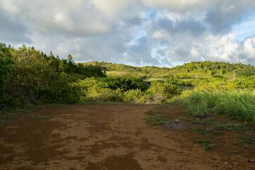 Obraz premium Mauritius tropical countryside with rainforest