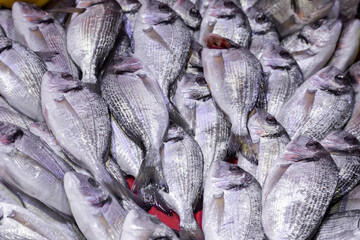 Fresh fish on the market stall