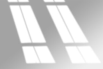 window shadow Tropical plant overlay element for portrait easy to use PNG