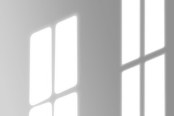 window shadow Tropical plant overlay element for portrait easy to use PNG