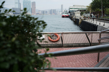bridge over the river