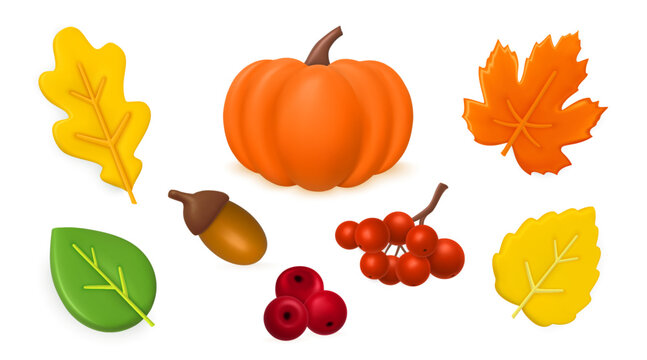 3d autumn set, maple leaf, acorn and berries. October holidays, fall pumpkin, orange and red plants, yellow leaves september decoration. Render glossy vector isolated neoteric illustration