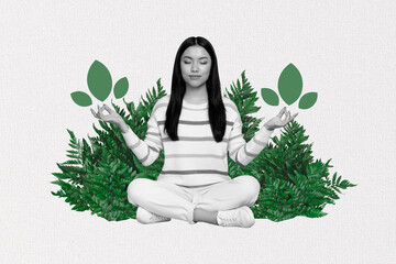 Composite artwork photo collage of relaxed chill chinese lady closed eyes sit forest blooming meditation nature spirit isolated on grey background
