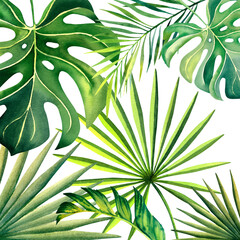 Monstera leaves, palm branch, banana leaves. Watercolor illustration. Tropical plants. Tropical nature.