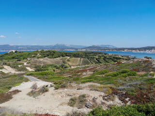 Creeks of Provence, beach, south of France 20