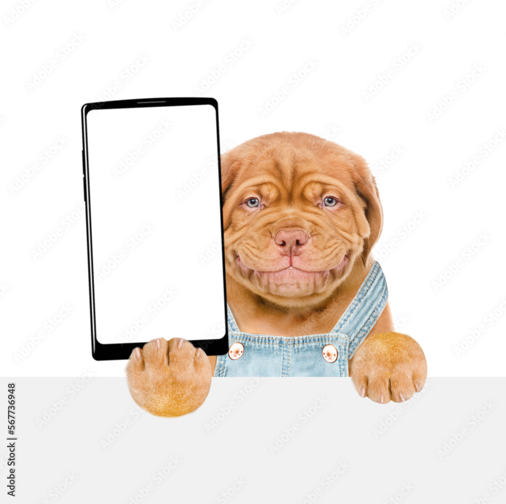 Poster smiling puppy wearing overalls holds big smartphone with white blank screen in it paw, showing close