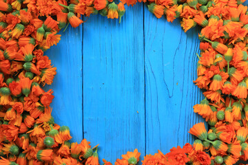 Frame of freshly picked flowers of calendula officinalis on a blue wooden background - obrazy, fototapety, plakaty