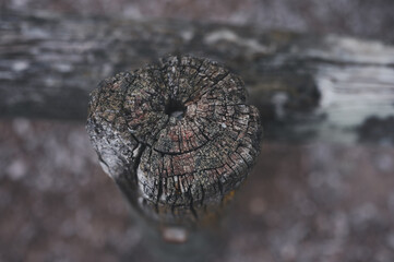 wooden pattern use for background selective focus