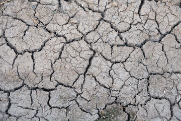 The ground cracks in the dry season.