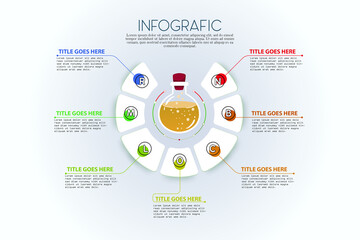 infographic template