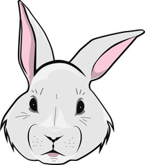 Fototapeta na wymiar Cartoon Easter bunny face. 