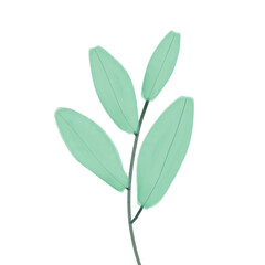 Naklejka premium flower, leaf, plant, watercolor, watercolor flower