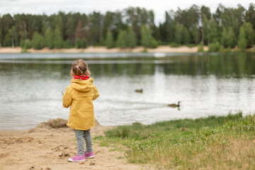 Naklejka na ściany i meble Little girl contemplating the lake and ducks 