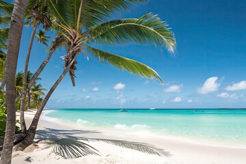 Naklejka na ściany i meble beach with palm trees