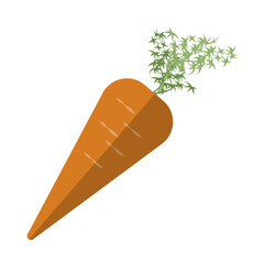 carrot isolated on white