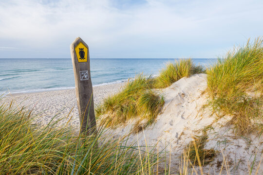 Darsser Ostseekueste - Weststrand Ahrenshoop
