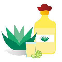 Cartoon set with bottle of tequila, glass, agave on white background for celebration design. Vector illustration design. Isolated objects.