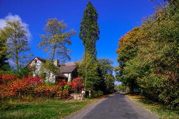 Polska, Lubuskie, jesień, las, wieś