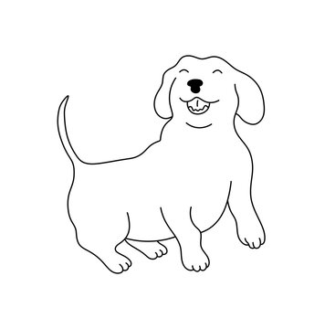 Vector isolated one single cute cartoon funny happy dog datchshund or basset haund with short paws  colorless black and white contour line easy drawing