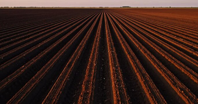 Drone shot of a fertile arable industrial farm field