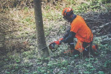 Man holding a chainsaw and cut trees. Lumberjack at work wears orange personal protective...