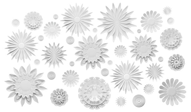 White paper flowers set, collection isolated on transparent background