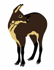Siberian musk deer cartoon illustration isolated on white - obrazy, fototapety, plakaty