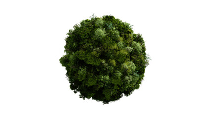 Green world ball covered in trees