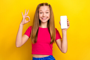 Portrait photo of funny cheerful smiling positive girl wear crop top showing okey sign hold empty space display isolated on yellow color background