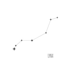 Simple constellation scheme Lynx.   Doodle, sketch, drawn style. Constellation Lynx scheme collection. Stars on white background