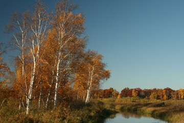 Autumn pond 