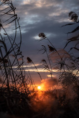 sunset over the lake