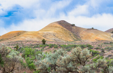 Valley of shrubs and colorful rock formation of the Painted Hills in Central Oregon, United States.