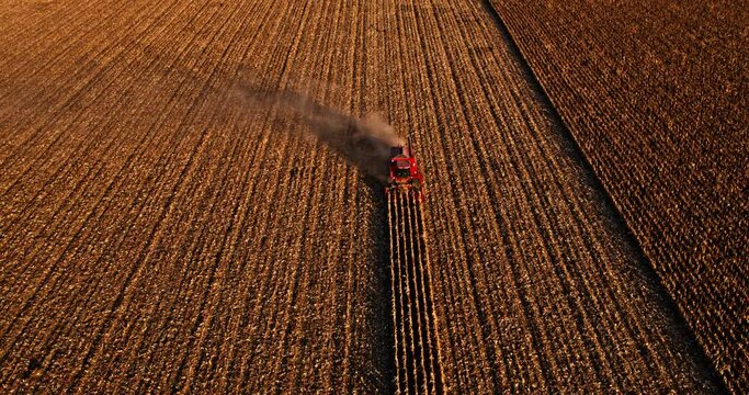 Agricultural combine harvester on industrial maize field