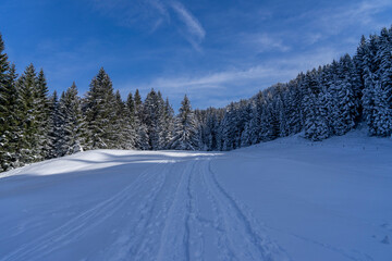 Weg in Winterlandschaft mit schneebedecktem Wald