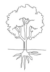 A tree in illustration with root system