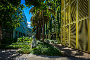 View of a lush alley in Camana Bay, Grand Cayman, Cayman Islands - 567761149