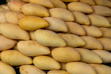 close up of a pile of mango