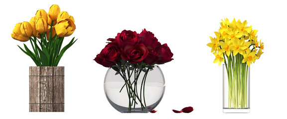 decorative flowers and plants for the interior, isolated on transparent background, 3D illustration, cg render