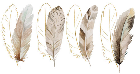 Watercolor beige and gold feathers, glitter outlines, Bohemian element illustration isolated