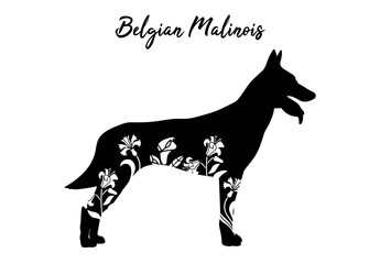 Belgian Malinois with floral design