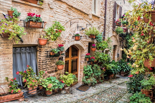 spello, italien - pittoreske gasse in der altstadt mit blumen