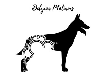 Belgian Malinois with circular design