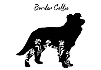 Border collie with floral design