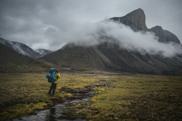 Hiker walking through remote arctic valley Akshayuk Pass, Baffin Island, Canada . Dramatic arctic landscape.
