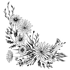 Black and white wildflowers arrangement. Hand drawn vector illustration.