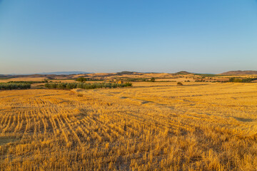 Fototapeta na wymiar view of a crop field in Spain