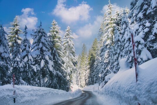 Road through winter landscape leading from Oberiberg to Ibergeregg mountain pass, Schwyz, Switzerland