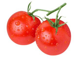 Delicious tomatoes on branch cut out