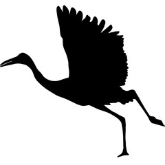 silhouette of a sandhill crane running